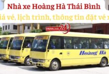 Nhà xe Hoàng Hà Thái Bình - Giá vé, lịch trình, thông tin đặt vé xe