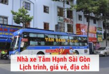 Nhà xe Tâm Hạnh Sài Gòn - Chi tiết lịch trình, giá vé, địa chỉ
